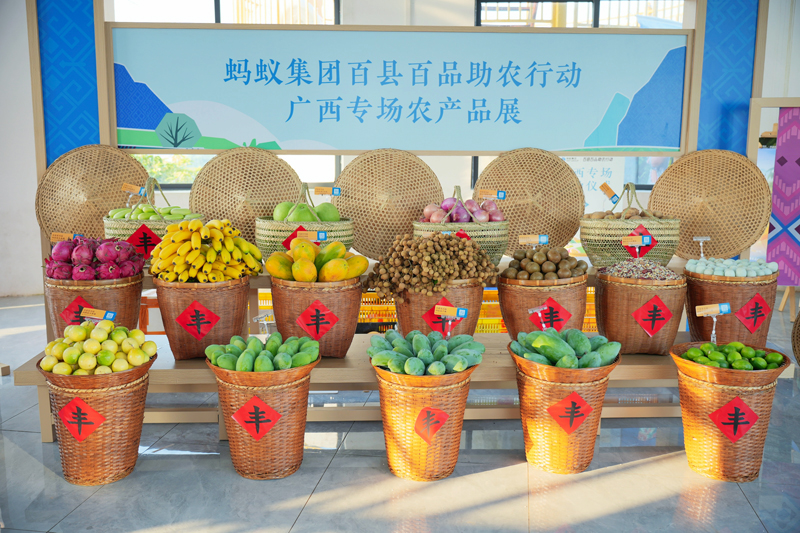 活动现场展示各类广西农产品。田东县委宣传部供图